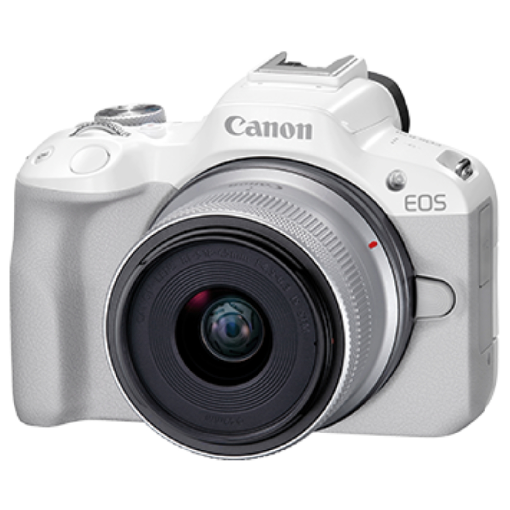 EOS R50 (RF-S18-45mm f/4.5-6.3 IS STM)