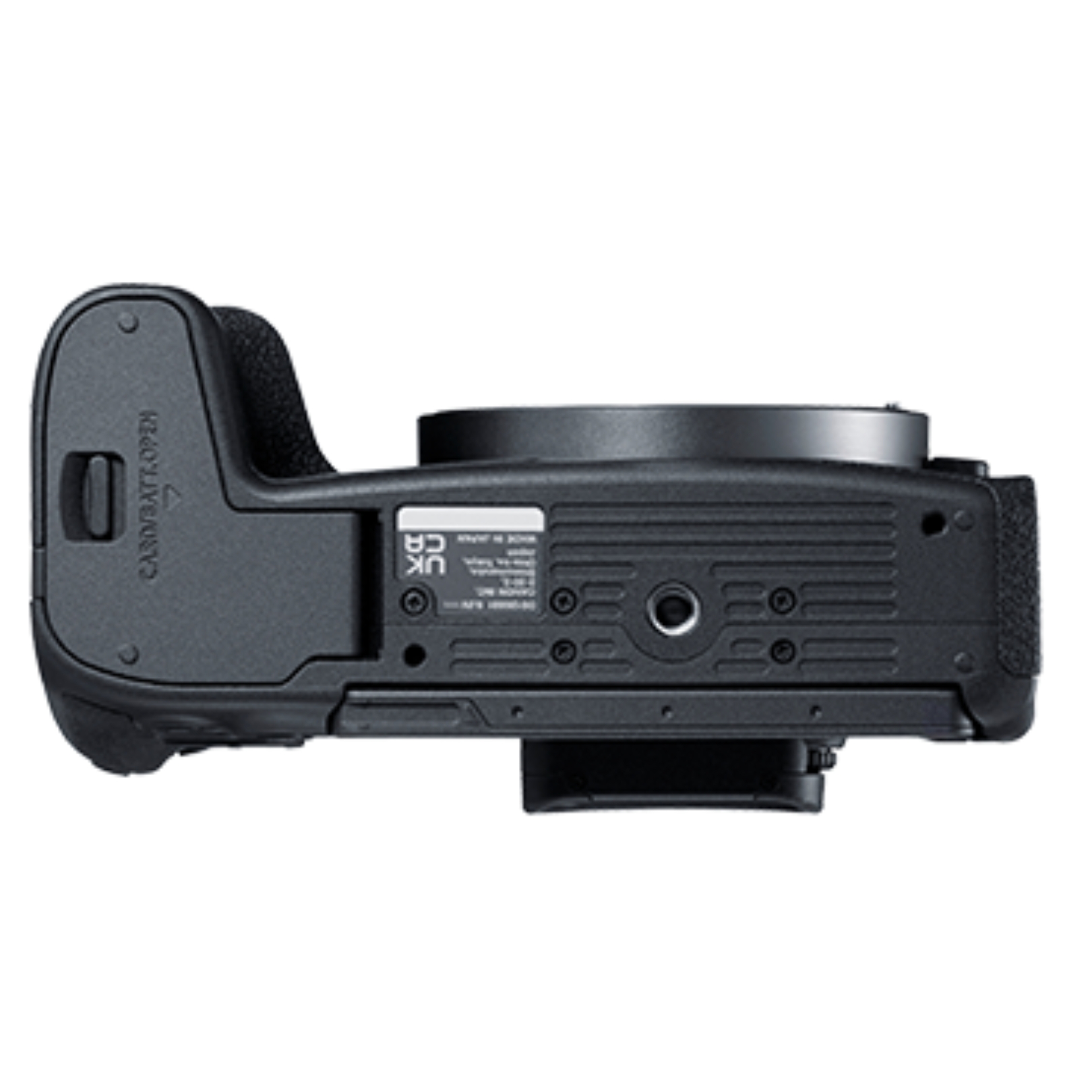 Canon EOS R8 Body
