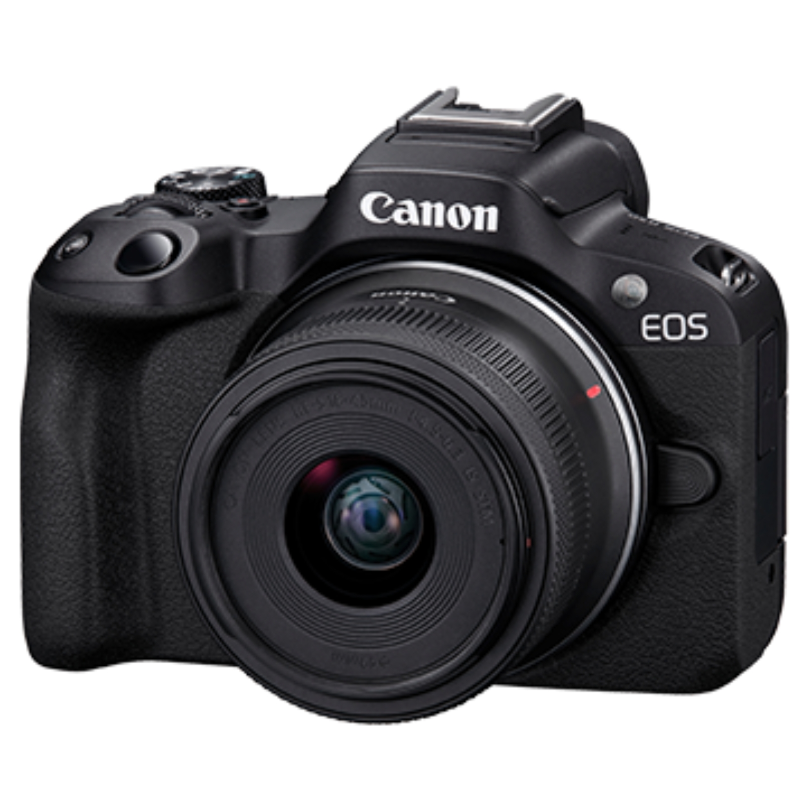 EOS R50 (RF-S18-45mm f/4.5-6.3 IS STM)