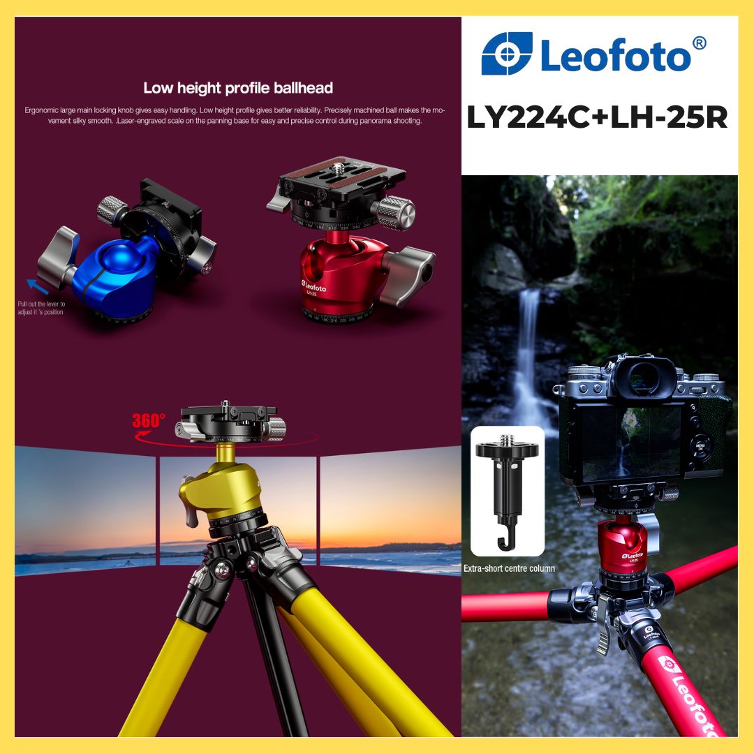 Leofoto LY-224C+LH-25R Tripod Kit