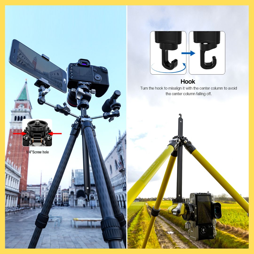 Leofoto LY-224C+LH-25R Tripod Kit
