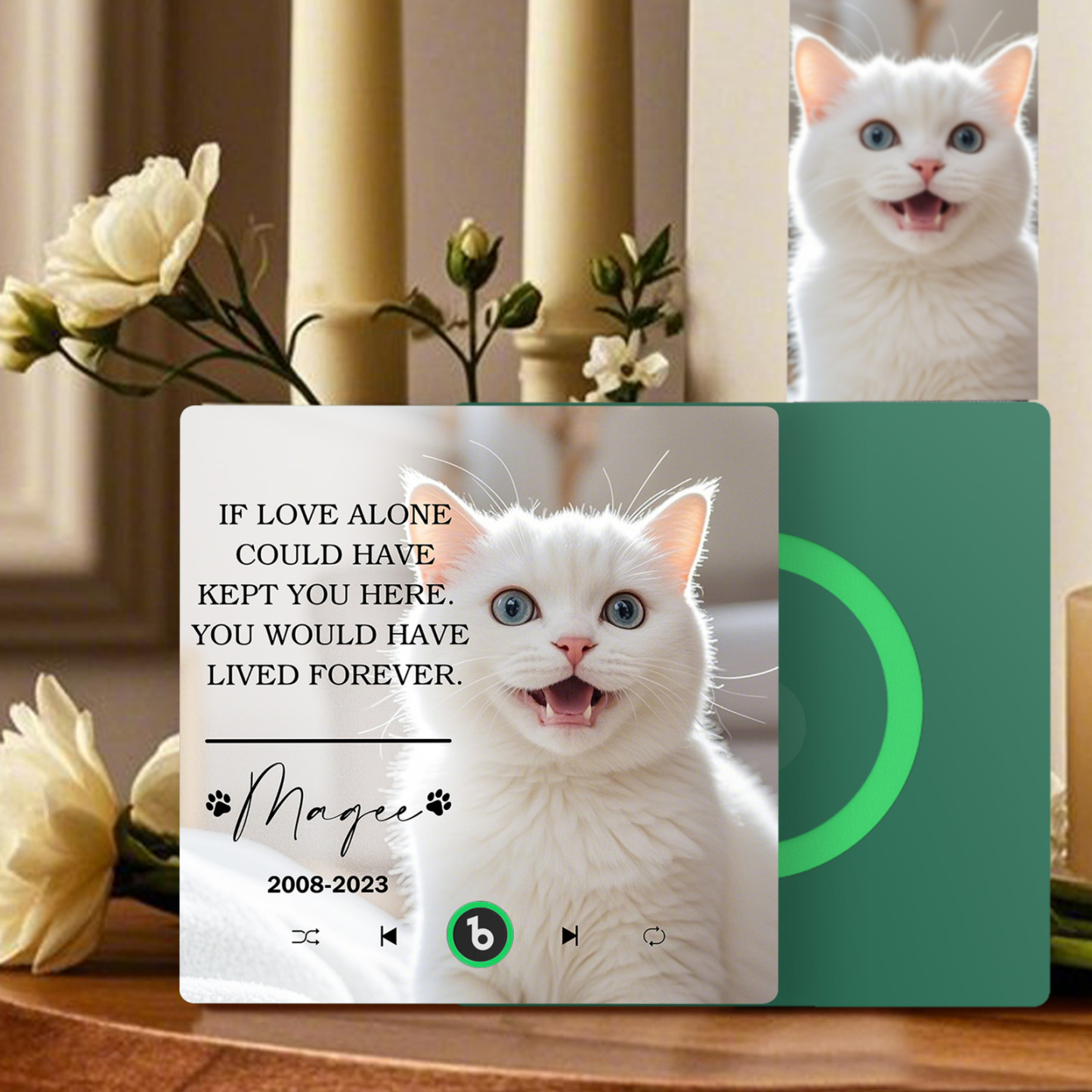 Custom Music Fridge Magnet Personalized Pet Photo & Name Magnet for Fridge That Can Play Songs Memorial Gifts for Pet Lover - Fridgebeatsau