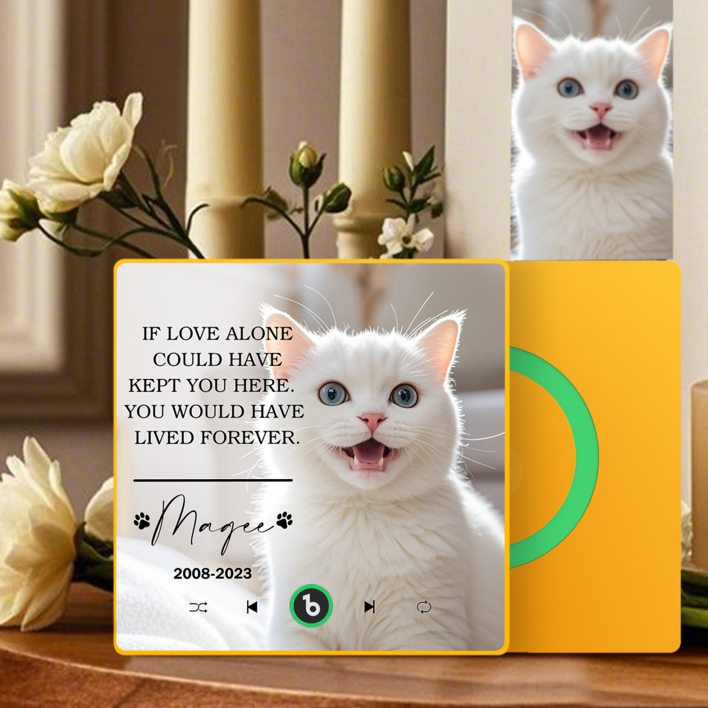 Custom Music Fridge Magnet Personalized Pet Photo & Name Magnet for Fridge That Can Play Songs Memorial Gifts for Pet Lover - Fridgebeatsau