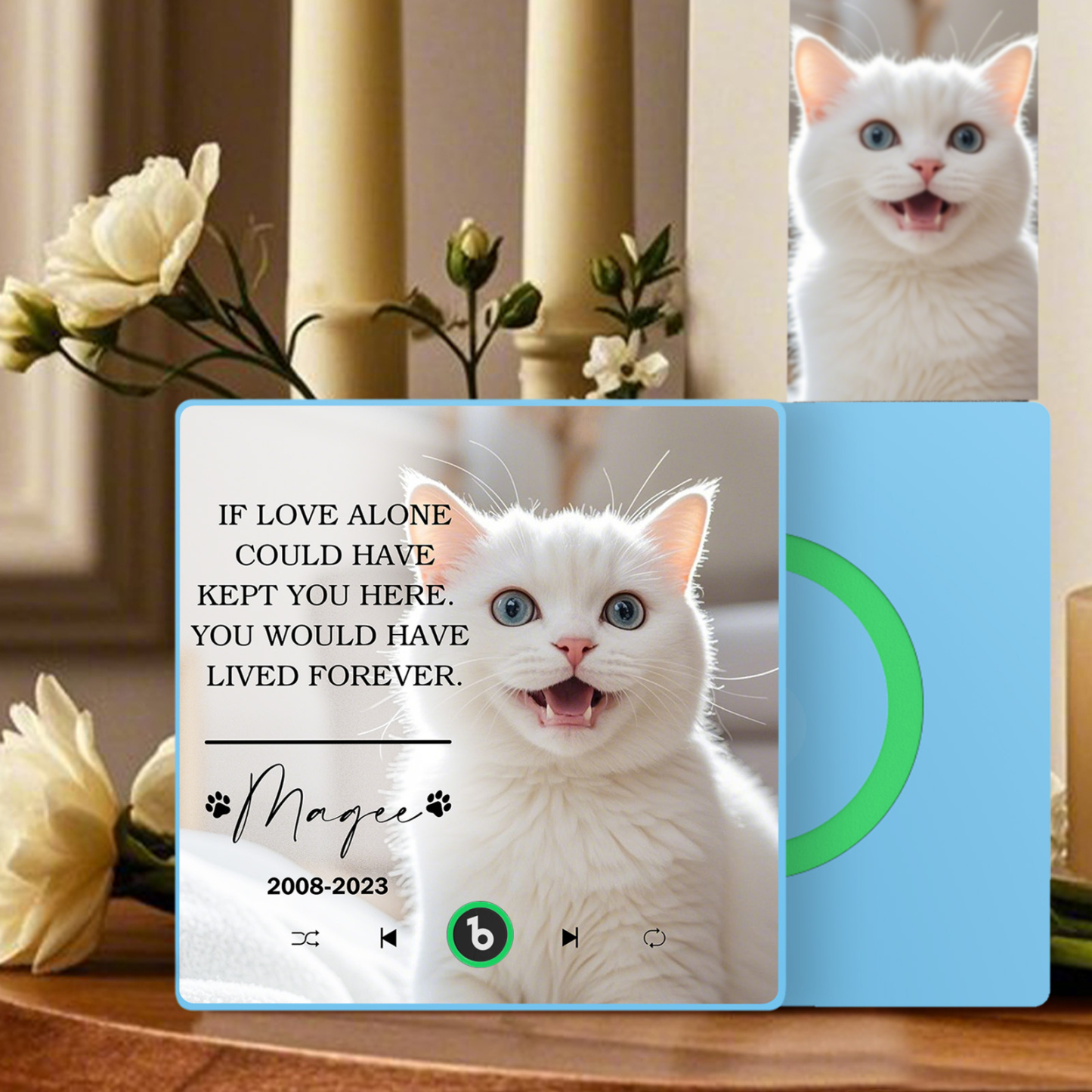 Custom Music Fridge Magnet Personalized Pet Photo & Name Magnet for Fridge That Can Play Songs Memorial Gifts for Pet Lover - Fridgebeatsau