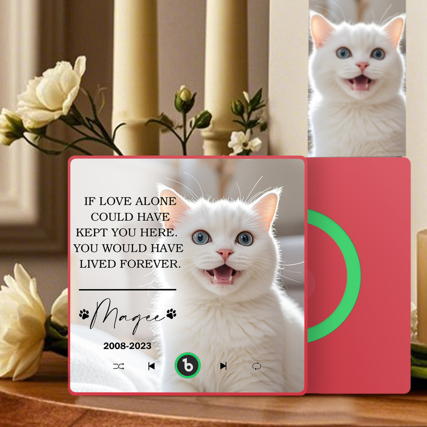 Custom Music Fridge Magnet Personalized Pet Photo & Name Magnet for Fridge That Can Play Songs Memorial Gifts for Pet Lover - Fridgebeatsau