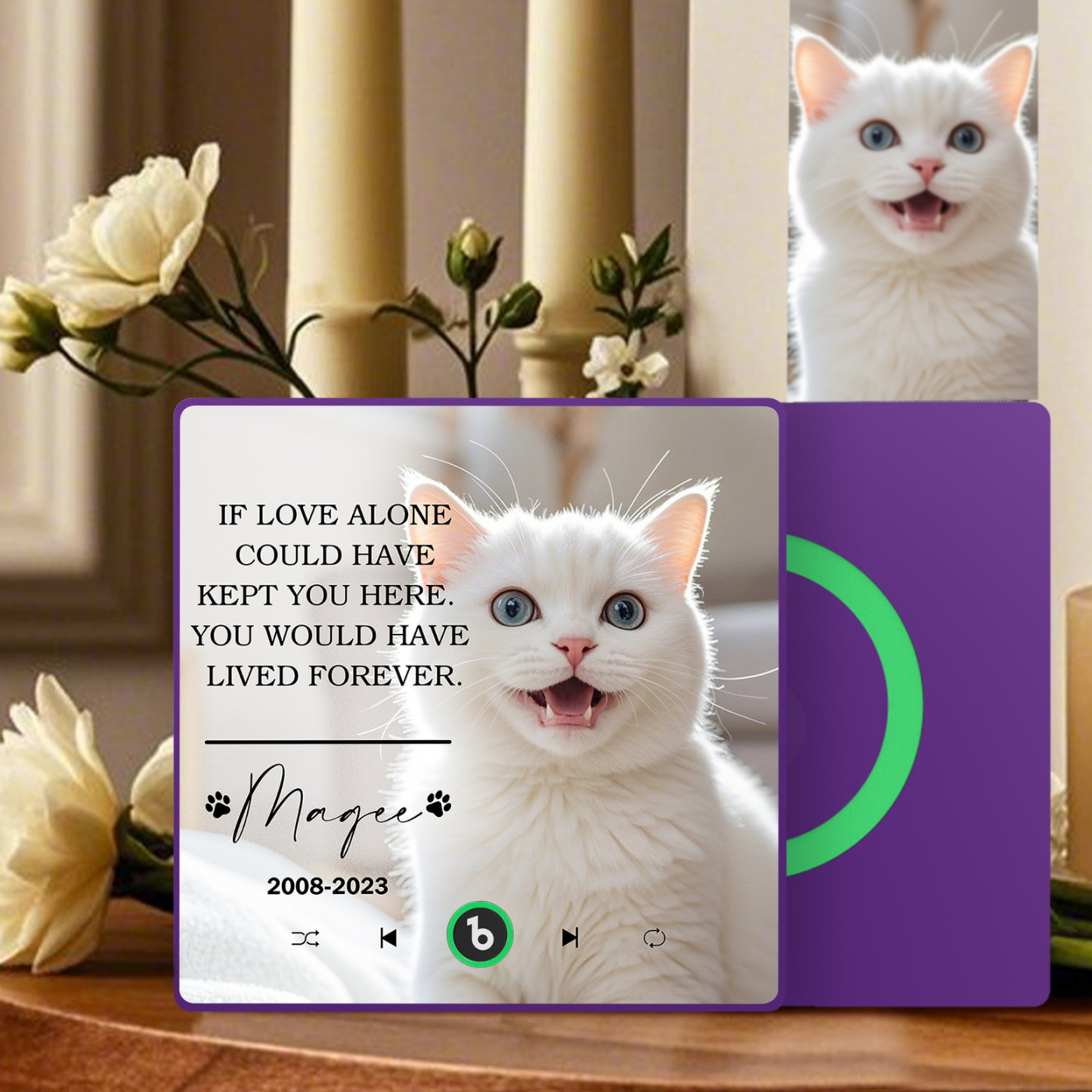 Custom Music Fridge Magnet Personalized Pet Photo & Name Magnet for Fridge That Can Play Songs Memorial Gifts for Pet Lover - Fridgebeatsau
