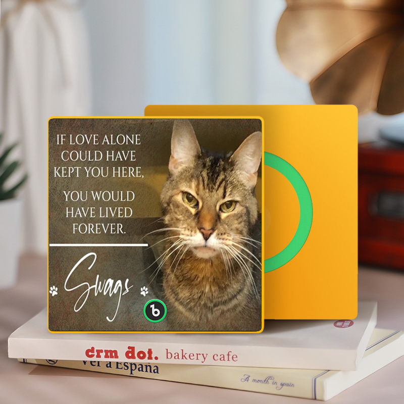 カスタム音楽冷蔵庫マグネット。ペットの写真と名前を冷蔵庫に貼り付けて、曲を再生できます。ペット愛好家へのメモリアルギフト。 - Fridgebeatsjp