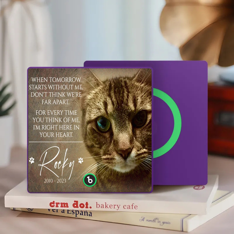 カスタム音楽冷蔵庫マグネット。ペットの写真と名前を冷蔵庫に貼り付けて、曲を再生できます。ペット愛好家へのメモリアルギフト。 - Fridgebeatsjp