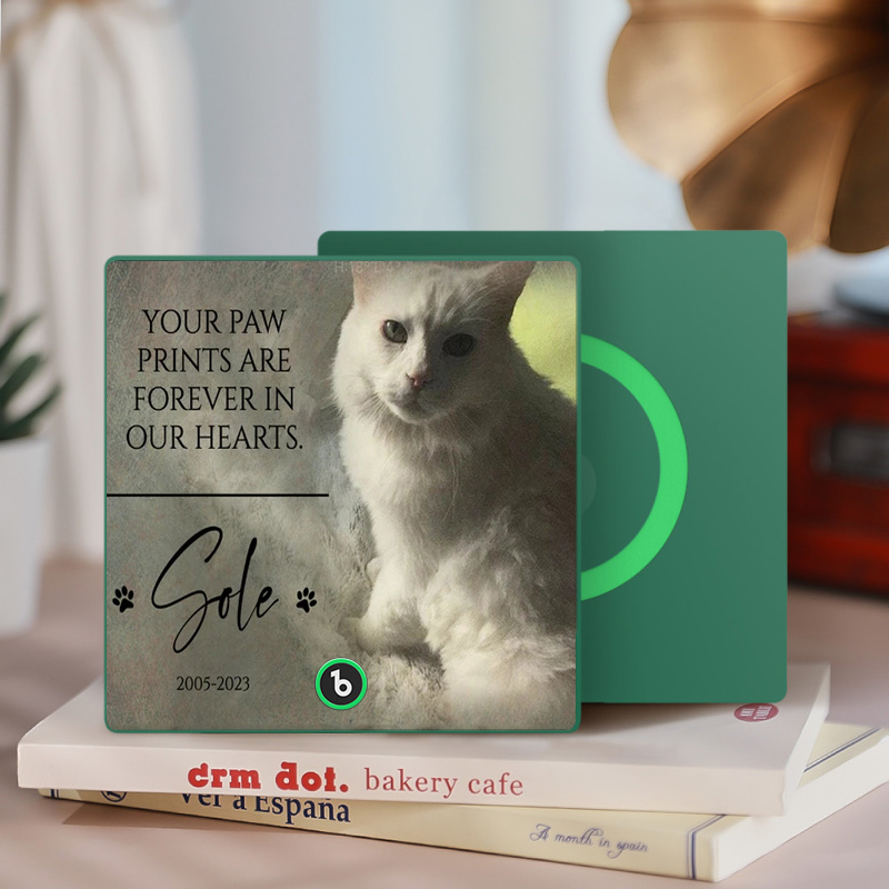 カスタム音楽冷蔵庫マグネット。ペットの写真と名前を冷蔵庫に貼り付けて、曲を再生できます。ペット愛好家へのメモリアルギフト。 - Fridgebeatsjp