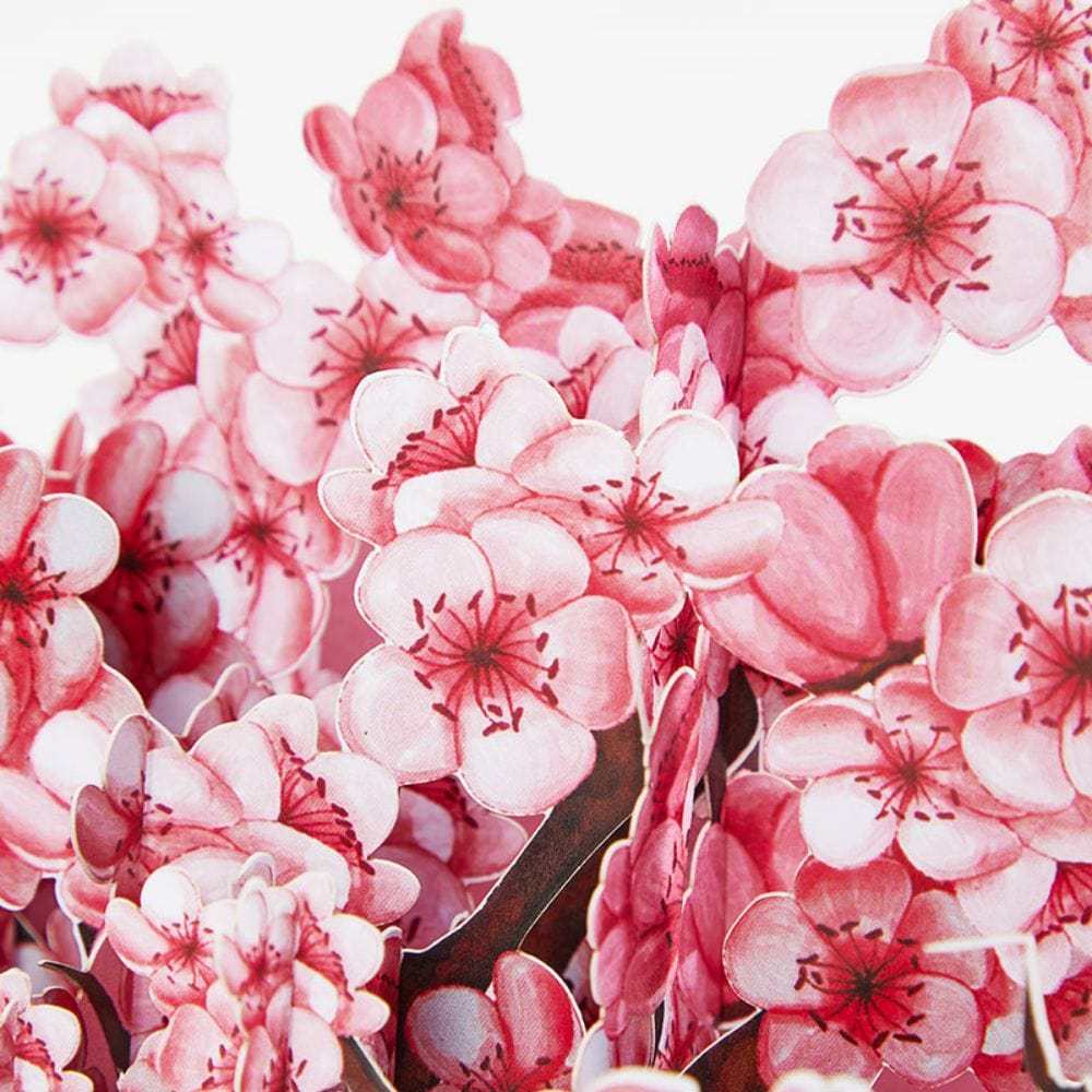Boîte Pop Up De Fleurs De Cerisier, Carte De Vœux Pop Up 3d - Fridgebeatsfr