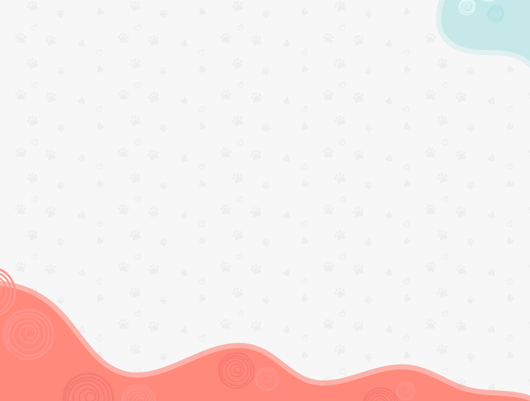 Click To Add Message Card +$3.99