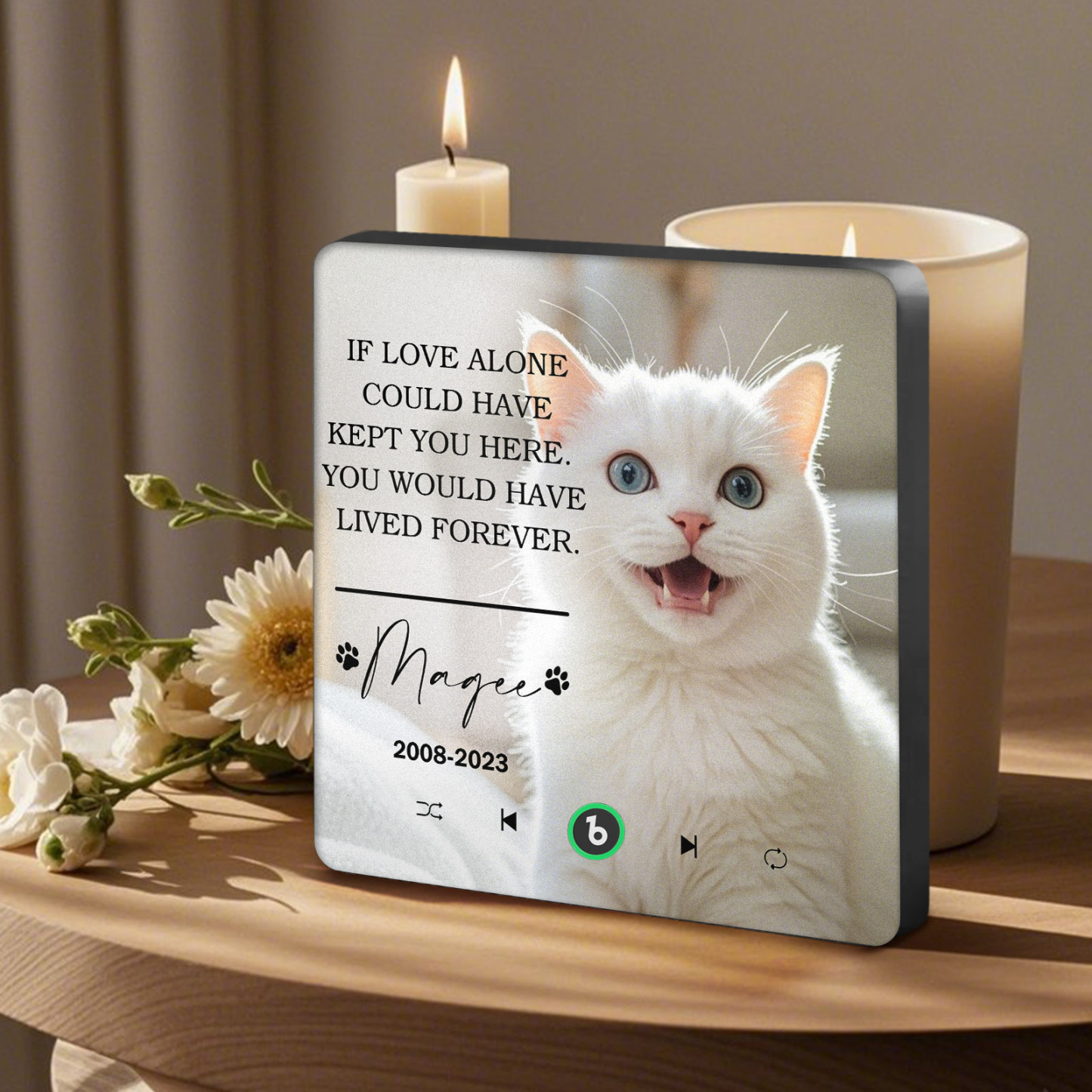 Custom Music Fridge Magnet Personalized Pet Photo & Name Magnet for Fridge That Can Play Songs Memorial Gifts for Pet Lover - Fridgebeatsca
