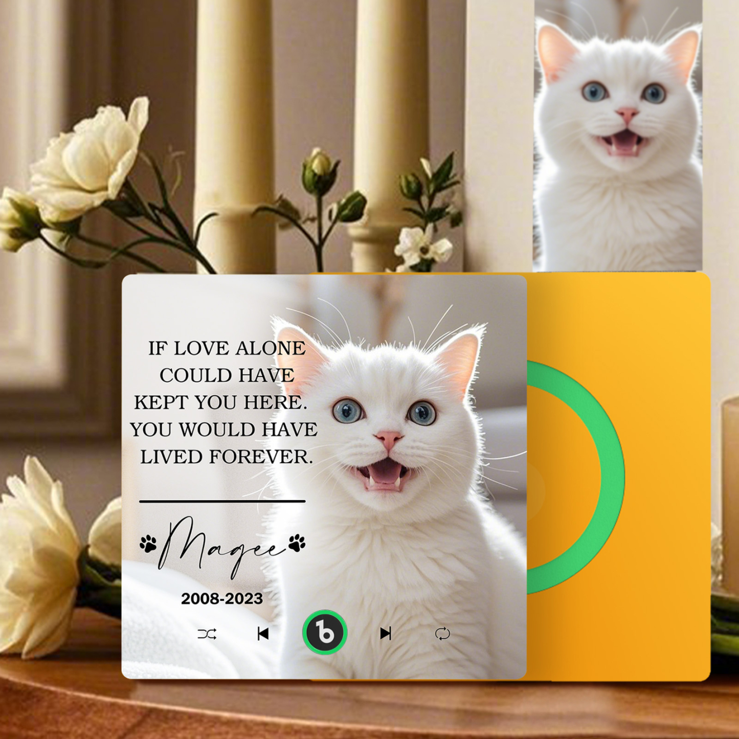 Custom Music Fridge Magnet Personalized Pet Photo & Name Magnet for Fridge That Can Play Songs Memorial Gifts for Pet Lover - Fridgebeatsca