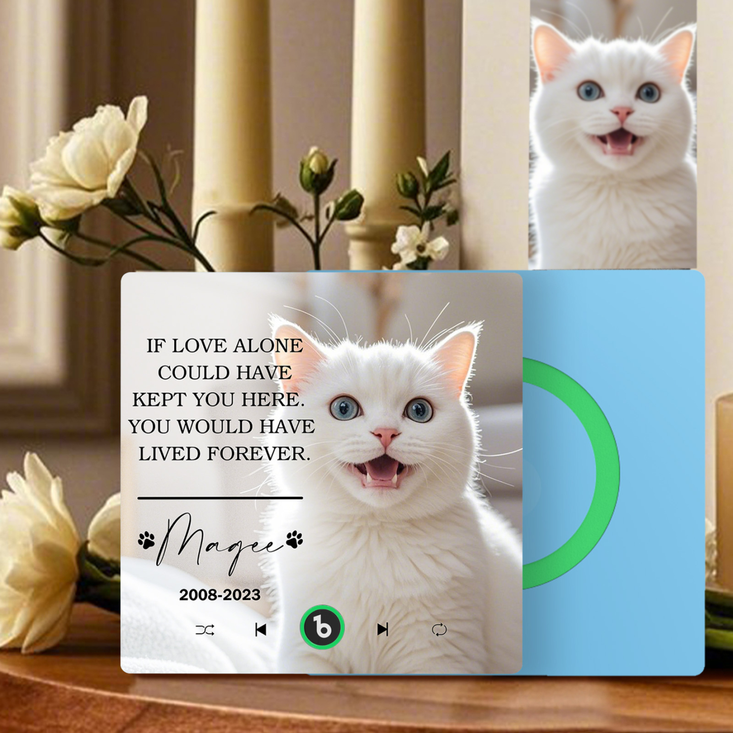 Custom Music Fridge Magnet Personalized Pet Photo & Name Magnet for Fridge That Can Play Songs Memorial Gifts for Pet Lover - Fridgebeatsca