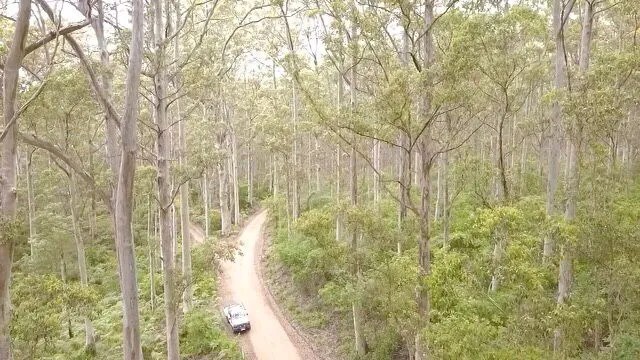 Australian Jarrah Honey TA40+ from Western Australia - 500 gram