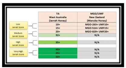 Australian Jarrah Honey TA40+ from Western Australia - 500 gram