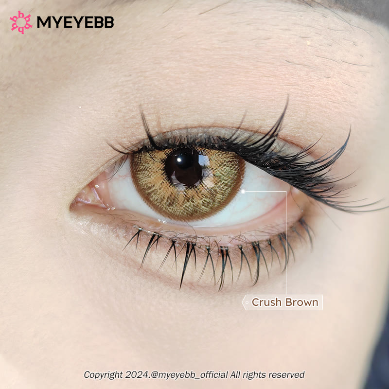 MYEYEBB Crush Brown Colored Contact Lenses - image 4