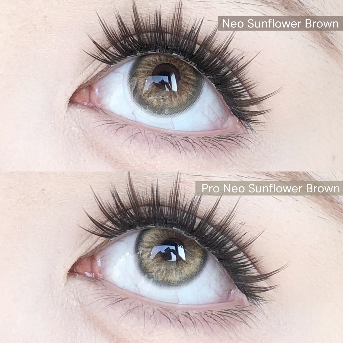 MYEYEBB Pro Neo Sunflower Brown Prescrition Colored Contact Lenses - image 4