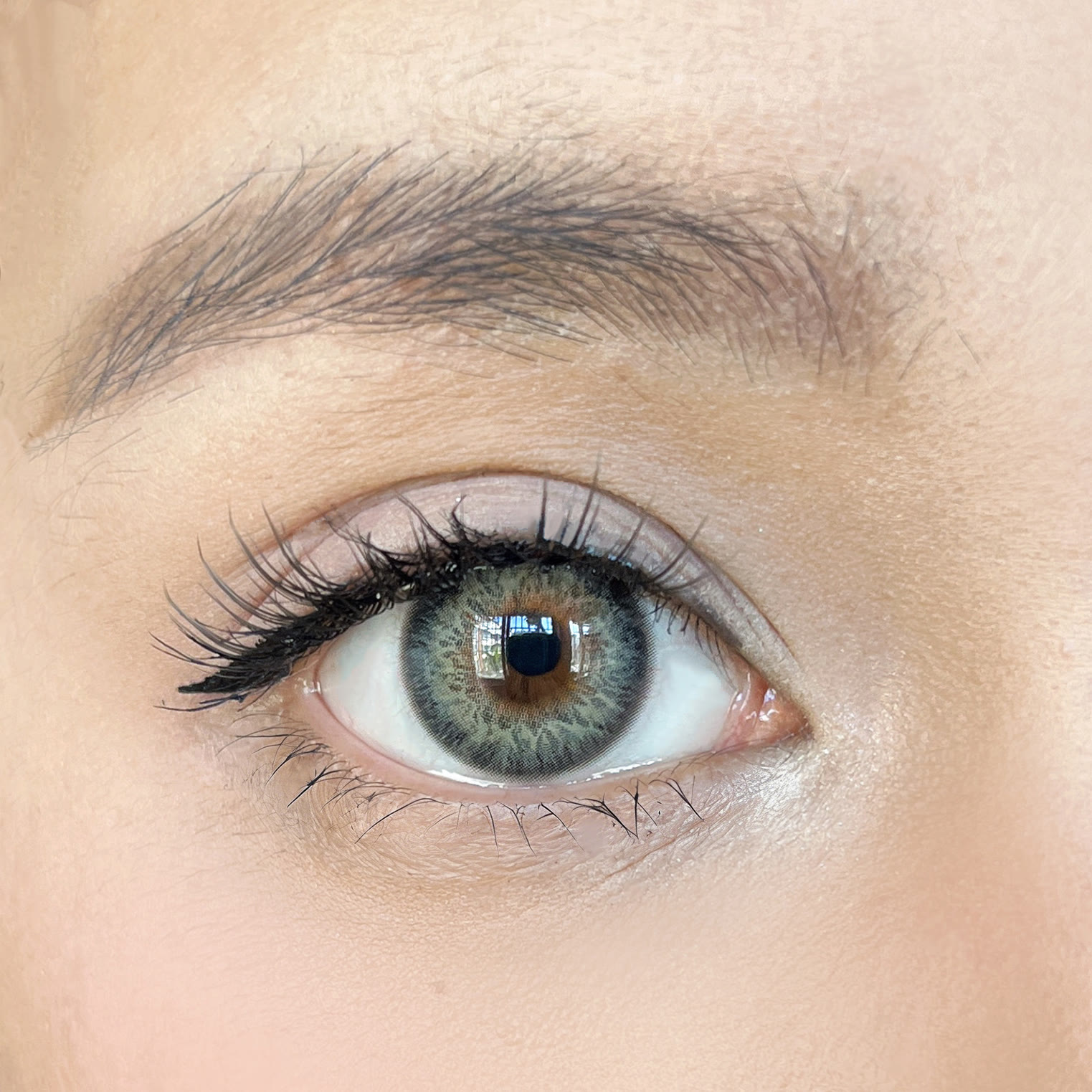 MYEYEBB Muse Grey Colored Contact Lenses - image 5