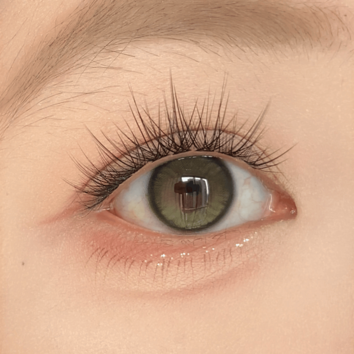MYEYEBB Bare Olive Prescription Colored Contact Lenses | 6 Months - image 3