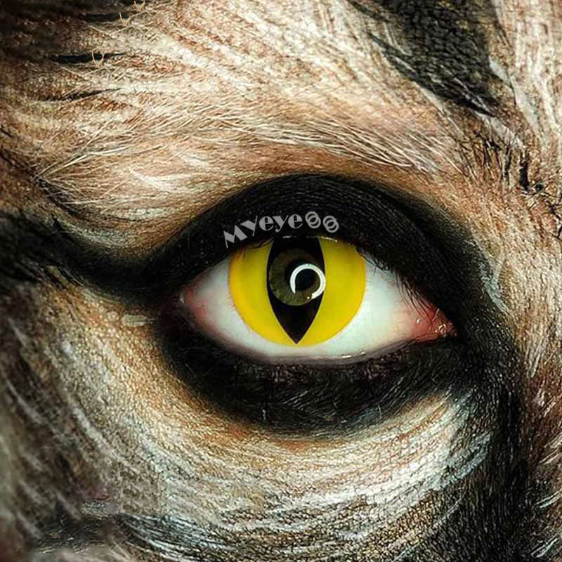 MYEYEBB Yellow Cat Eyes Prescription Cosplay Colored Contact Lenses - image 10