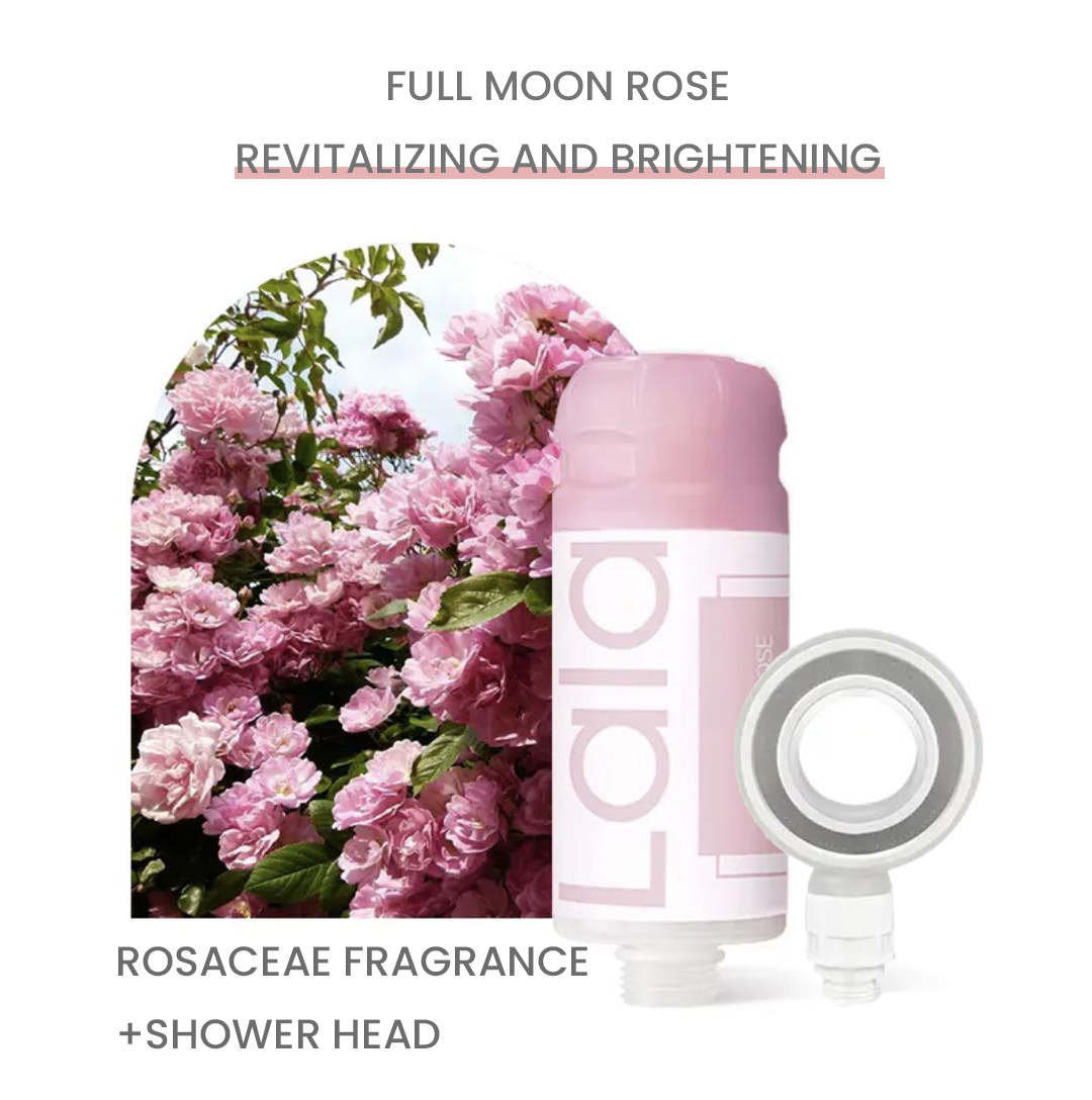 Rosaceae Fragrance+shower head