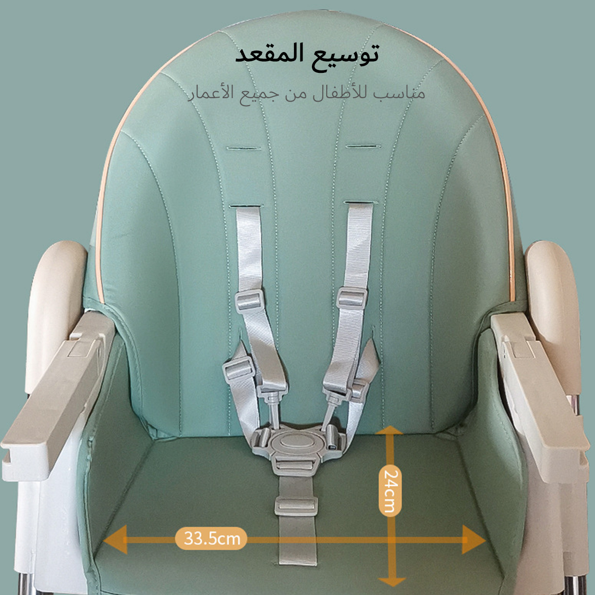 Baby Multifunctional Foldable Dining Chair