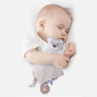 Newborn Soother Present Set