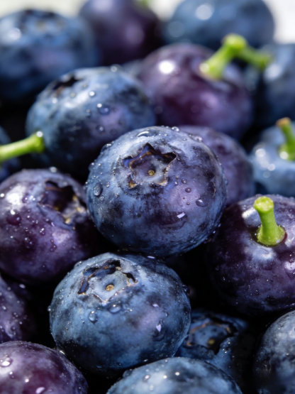 【Full Refund for Non-Living】Extra Large Fruit High-Yield Organic Blueberry Seedlings