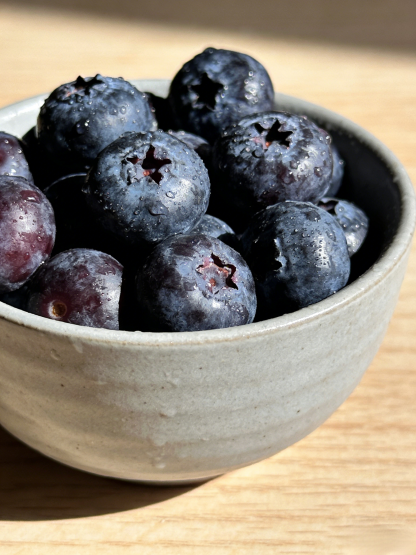 【Full Refund for Non-Living】Extra Large Fruit High-Yield Organic Blueberry Seedlings