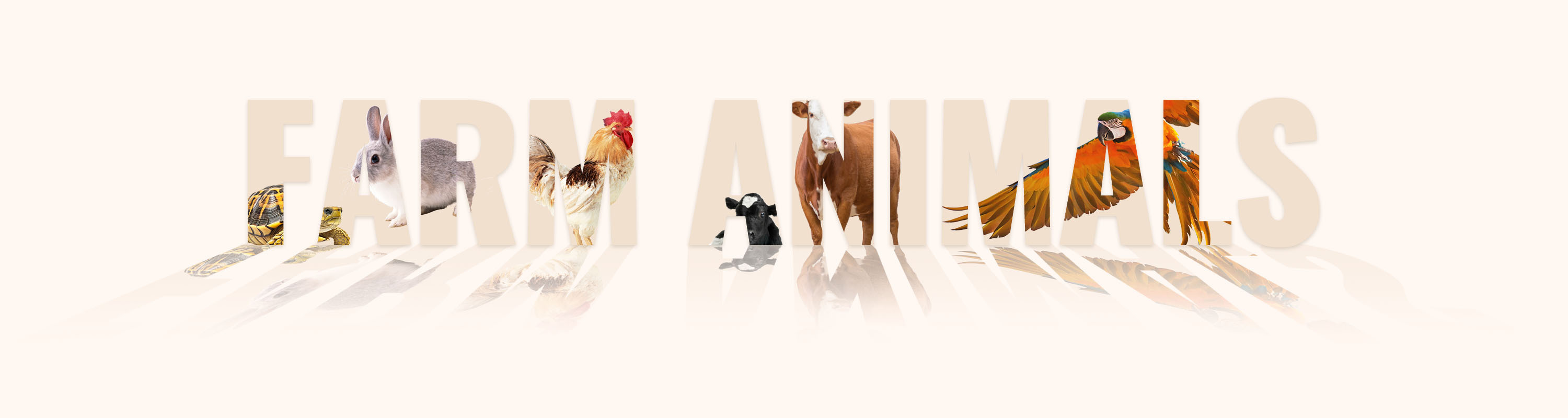 Farm animals