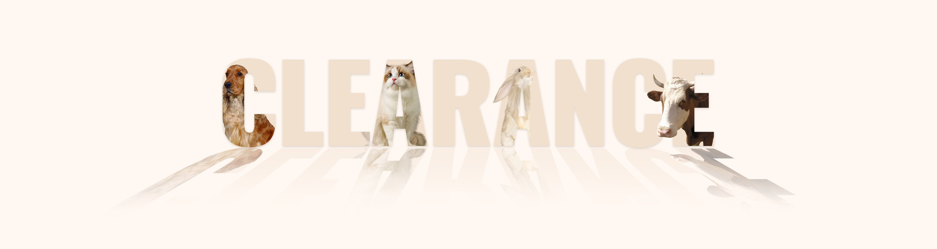 Clearance