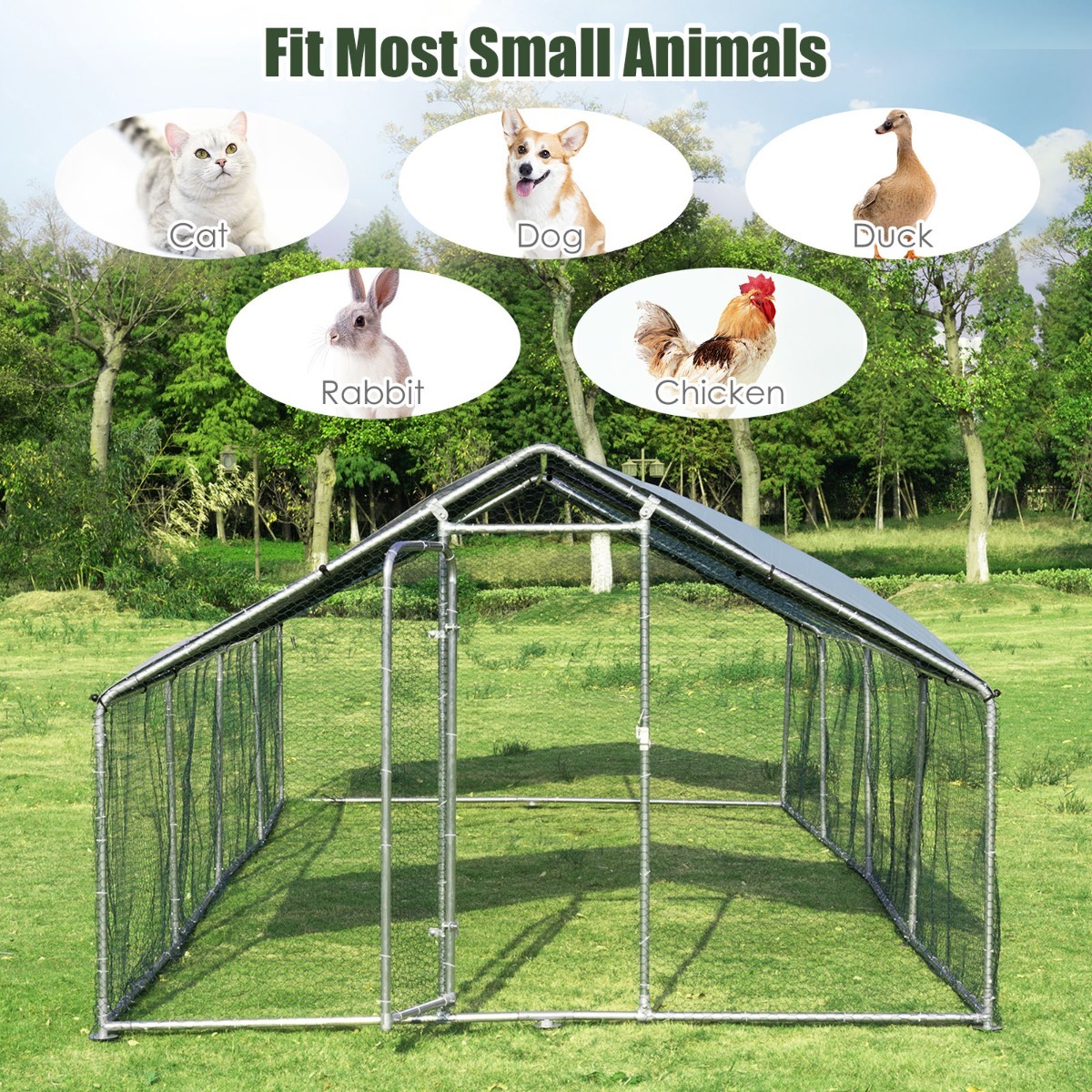 Large Walk In Chicken Coop Run House