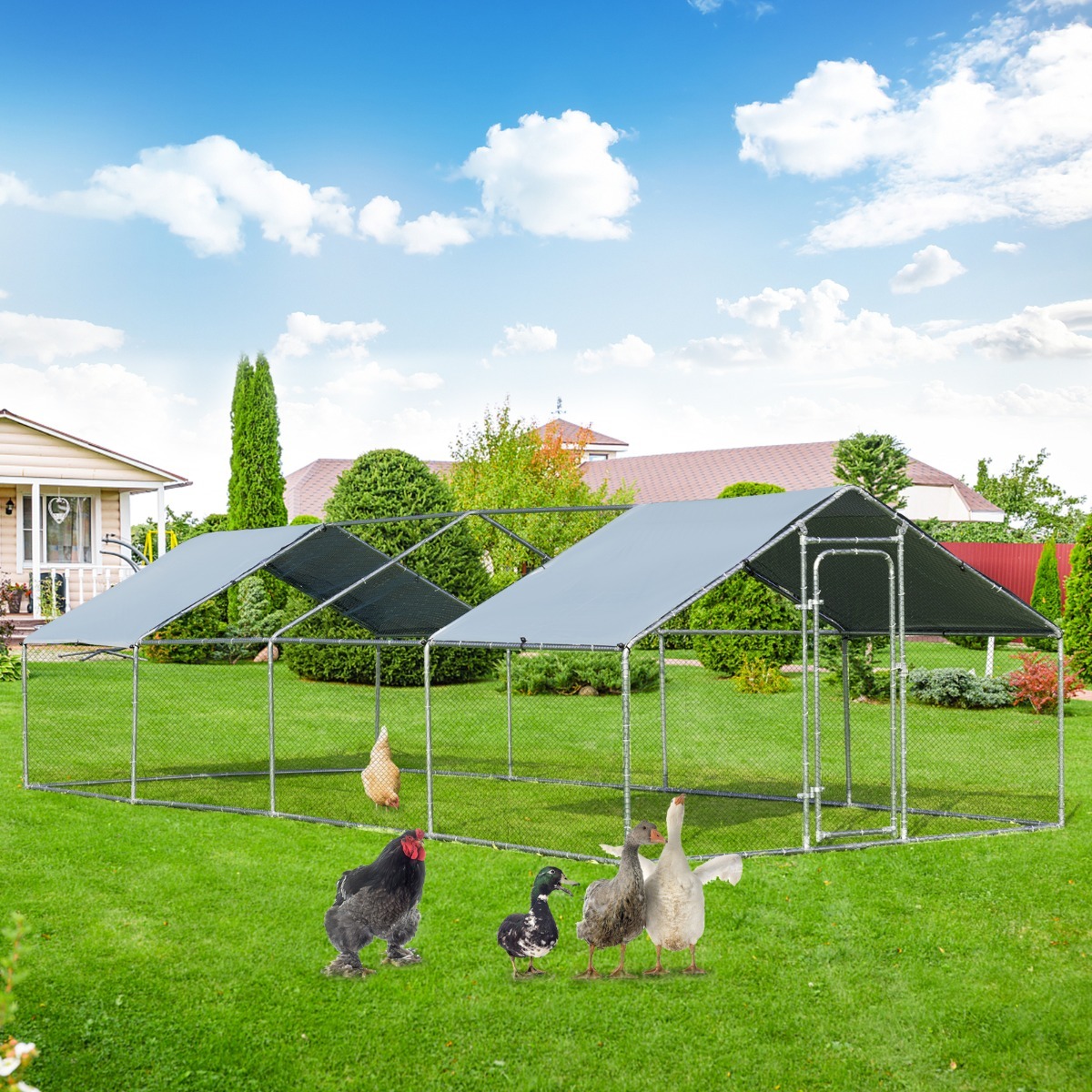 Large Walk In Chicken Coop Run House