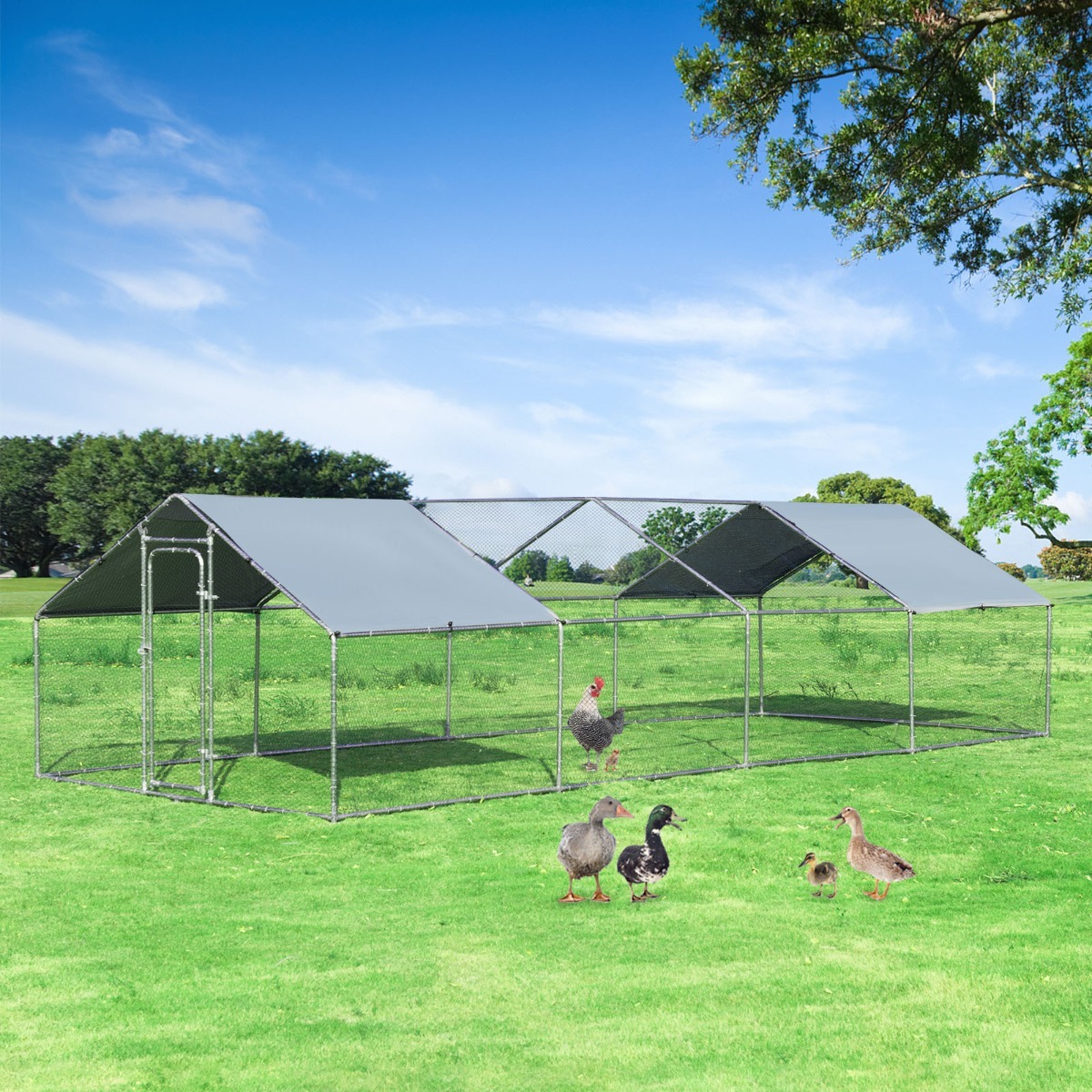 Large Walk In Chicken Coop Run House