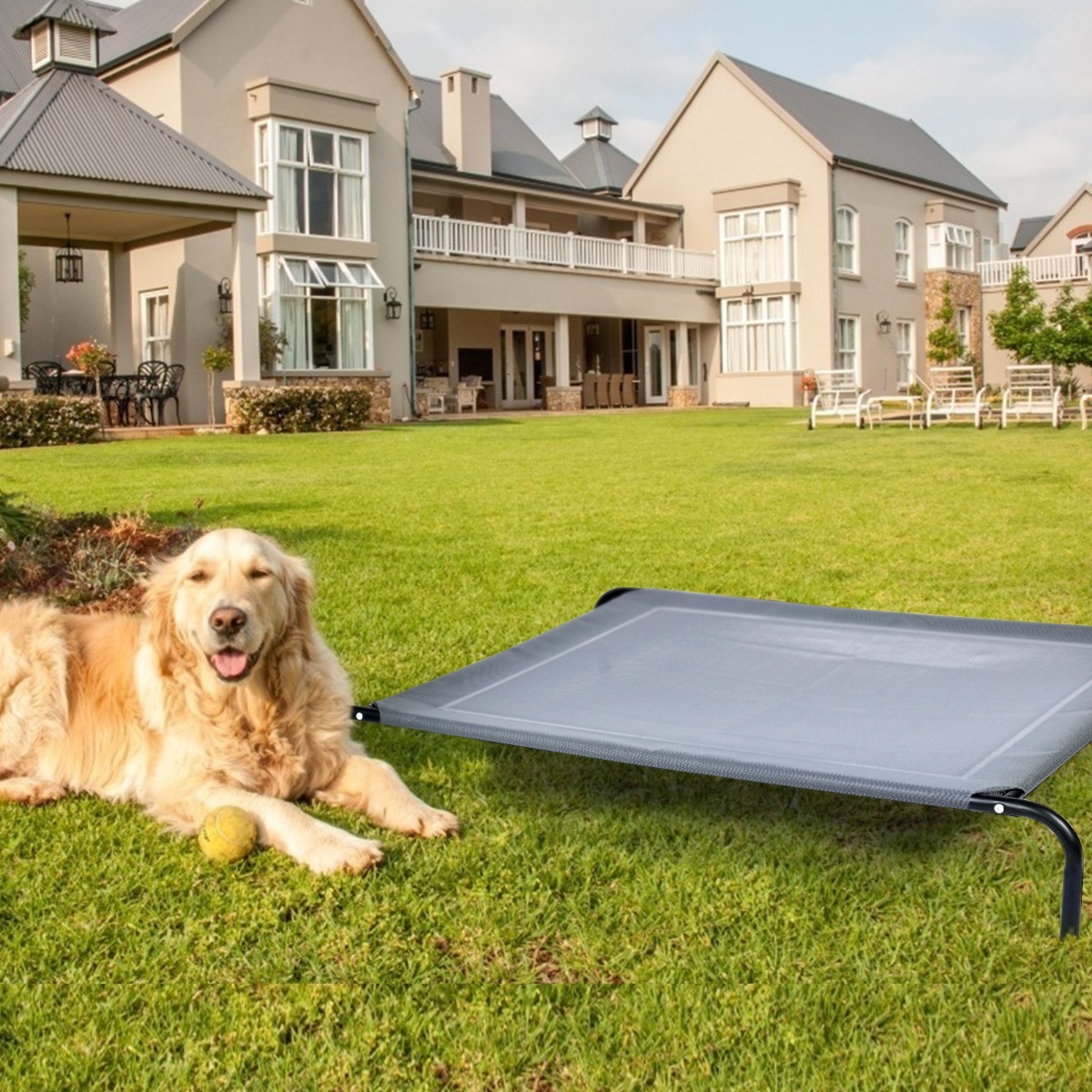 Elevated Pet Bed for Large Dogs Cot for Indoor & Outdoor