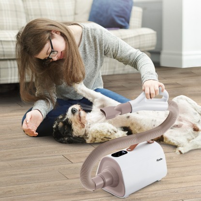 Dog Cat Hair Blower with Negative Ion Function and Adjustable Temperature
