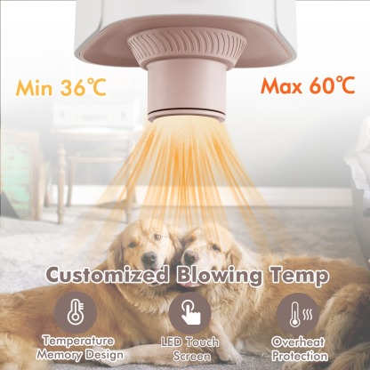 Dog Cat Hair Blower with Negative Ion Function and Adjustable Temperature