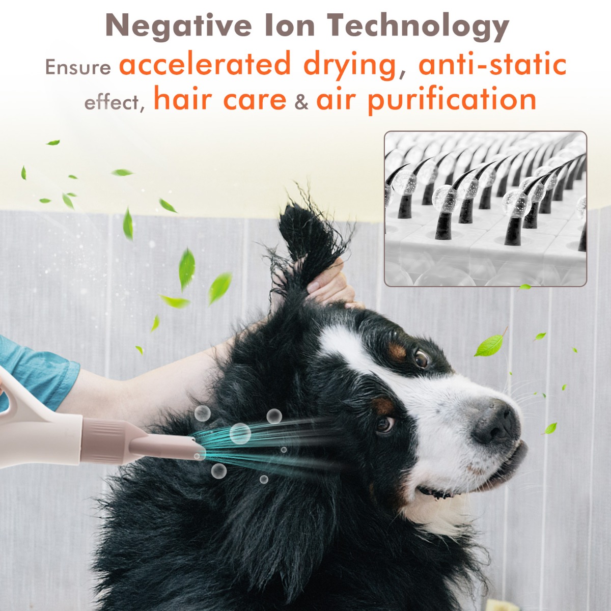 Dog Cat Hair Blower with Negative Ion Function and Adjustable Temperature
