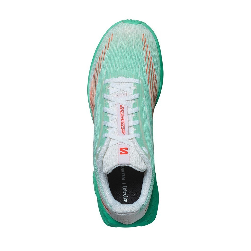 SALOMON Male Spectur 2 Bay/Cherry Tomato/Electg