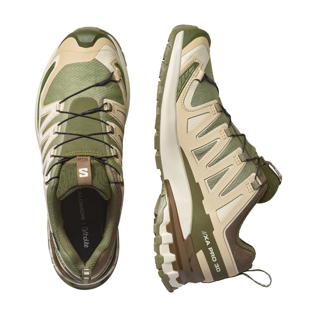 SALOMON Xa Pro 3D V9 GTX Dlicgr/Sfari/Dkea Unisex Shoes