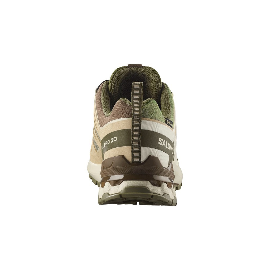 SALOMON Xa Pro 3D V9 GTX Dlicgr/Sfari/Dkea Unisex Shoes
