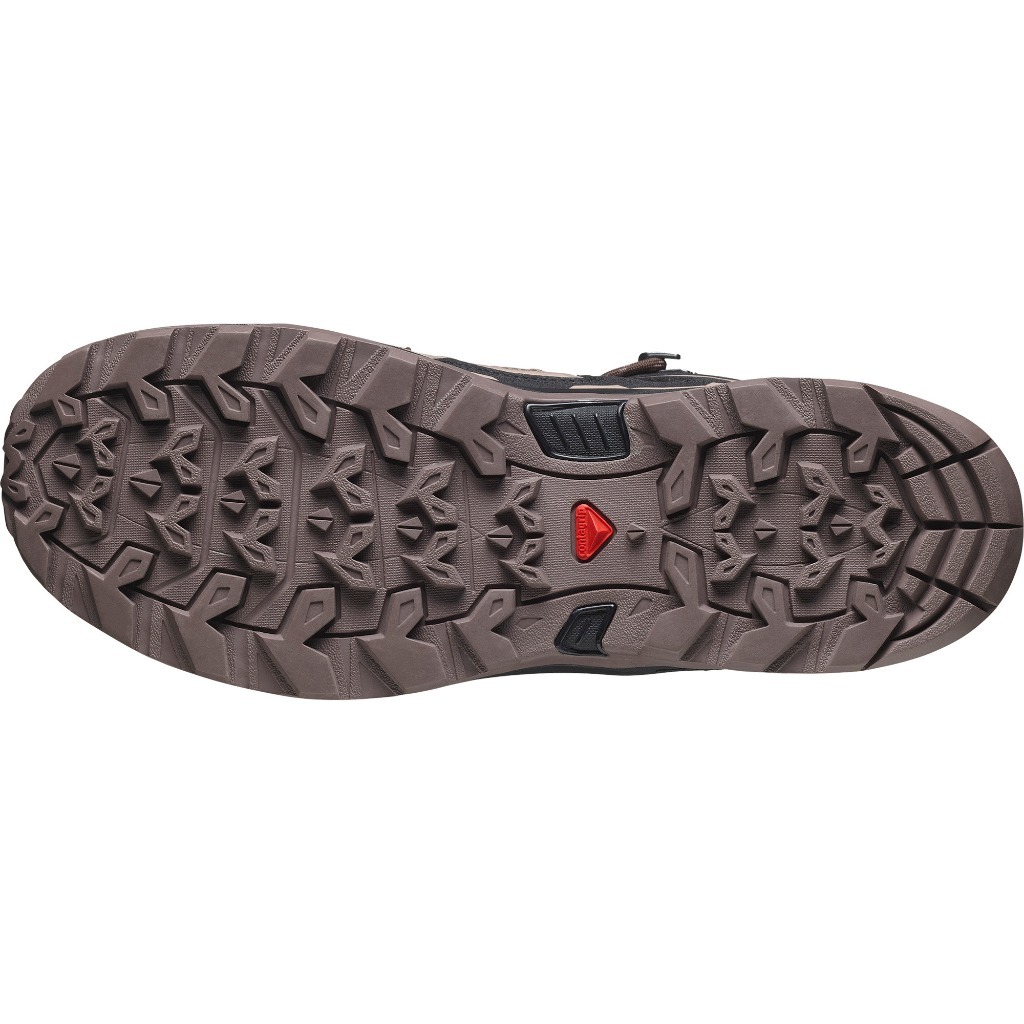 SALOMON X ULTRA PIONEER 2 MID GTX W Dlciso WOMEN