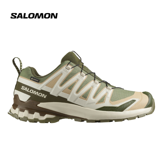 SALOMON Xa Pro 3D V9 GTX Dlicgr/Sfari/Dkea Unisex Shoes