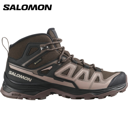 SALOMON X ULTRA PIONEER 2 MID GTX W Dlciso WOMEN