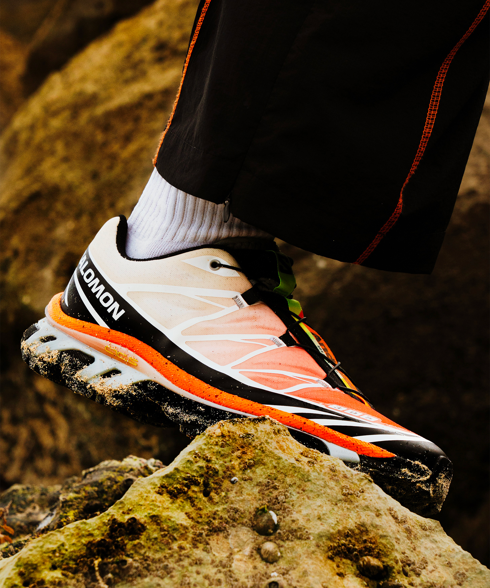 XT-ANDREW – SALOMON MY