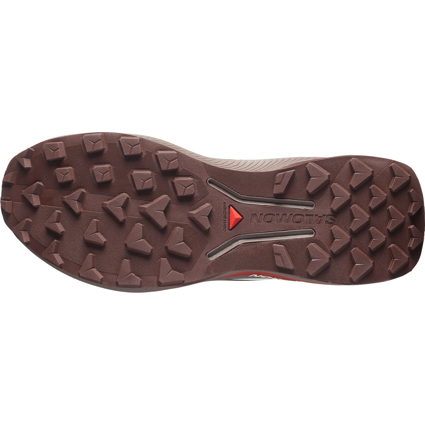 GENESIS 2