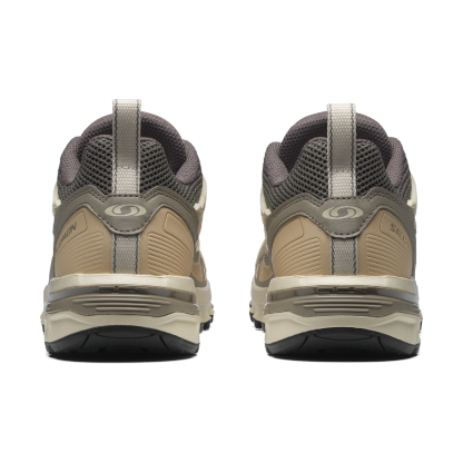 #Falcon / Shortbread / Hazelnut