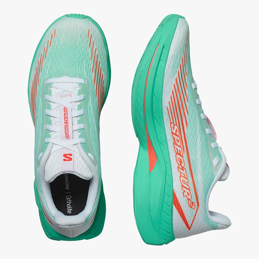 SPECTUR 2 – SALOMON MY