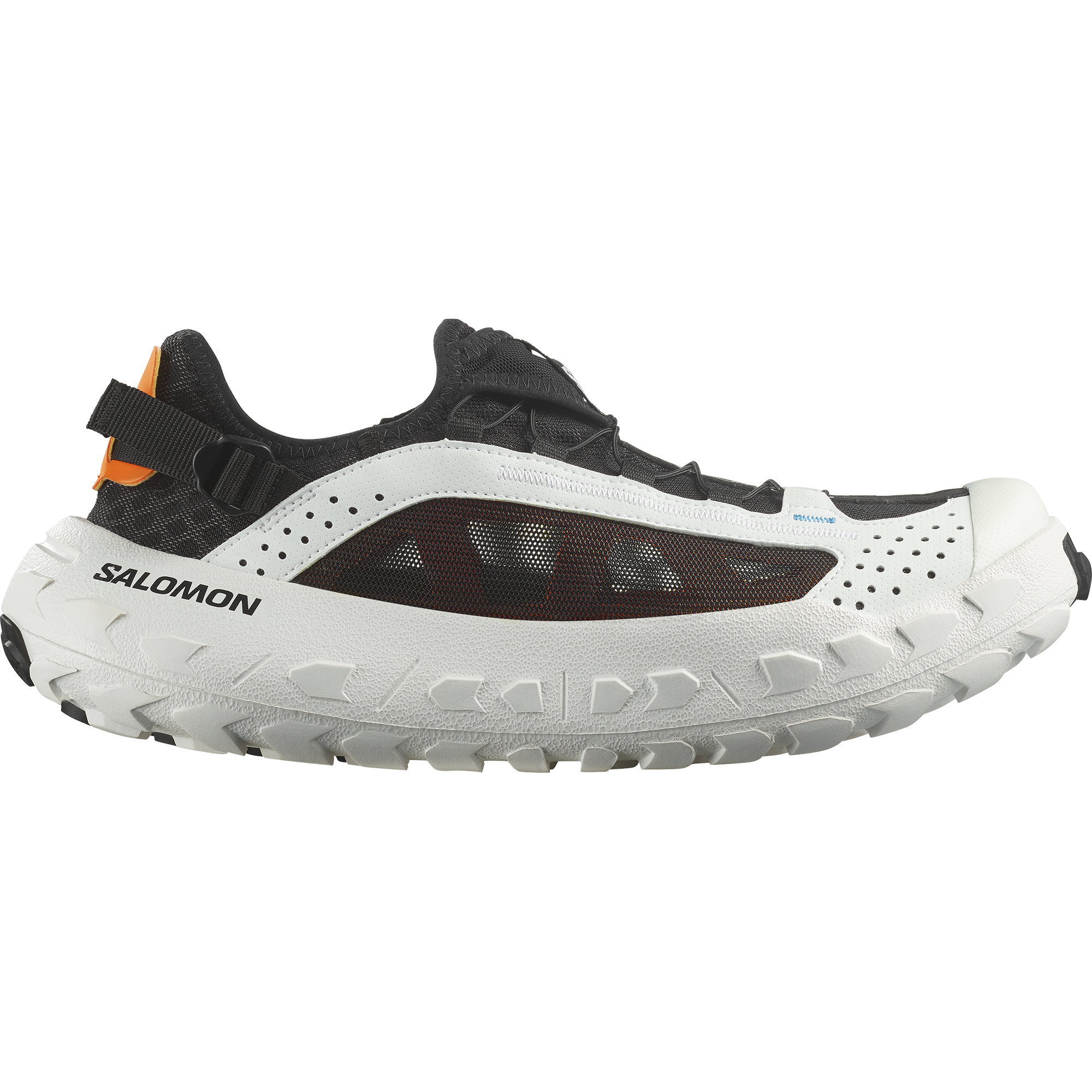 SOLAMPHIBIAN